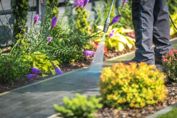 Best Deck and Patio Pressure Washing in Antigo, WI